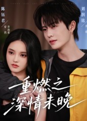 重燃之深情未晚全集