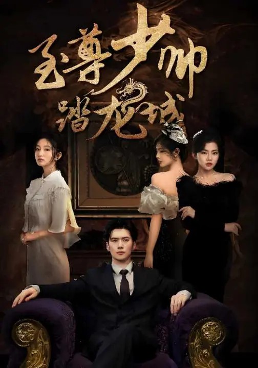 至尊少帅踏龙城全集