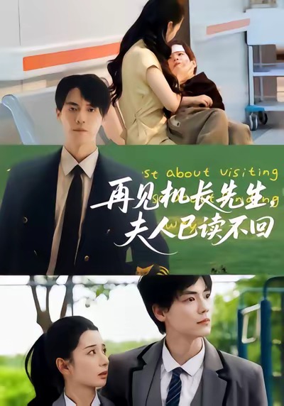 再见机长先生夫人已读不回全集