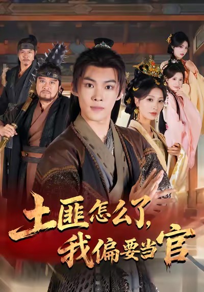 土匪怎么了，我偏要当官全集