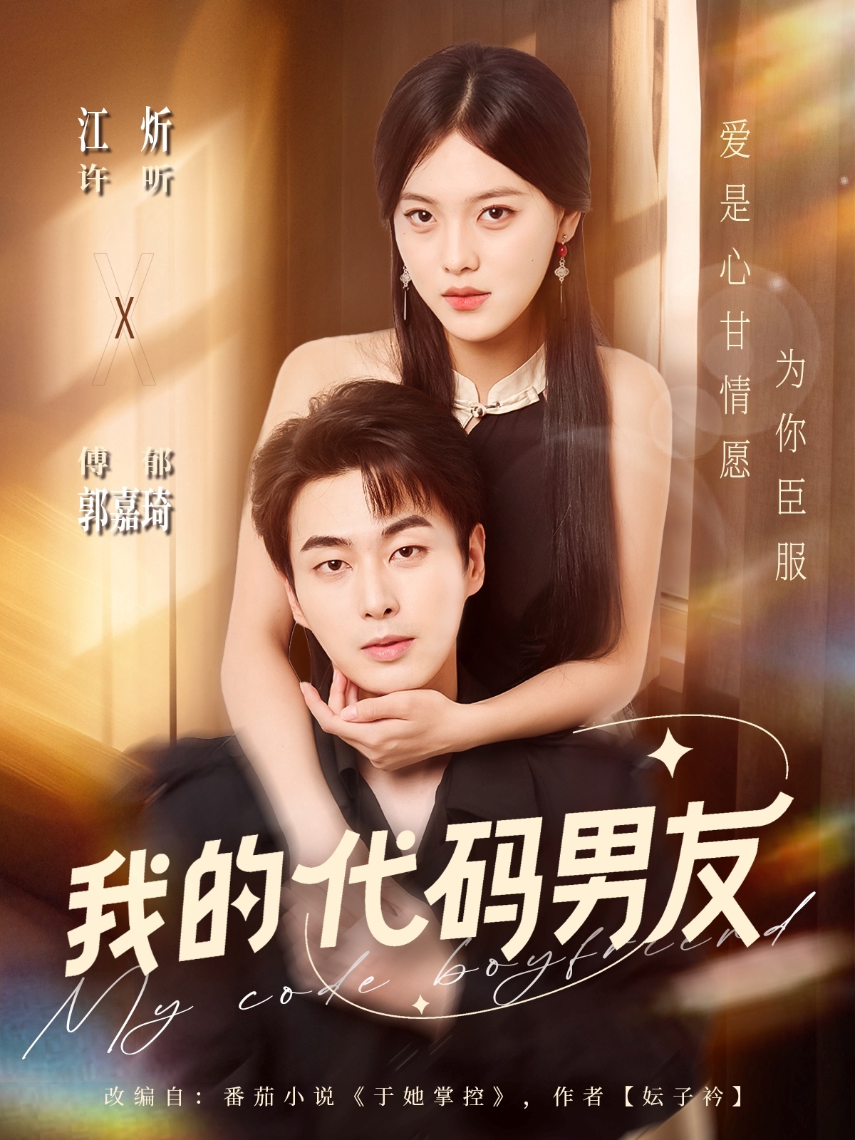 我的代码男友全集