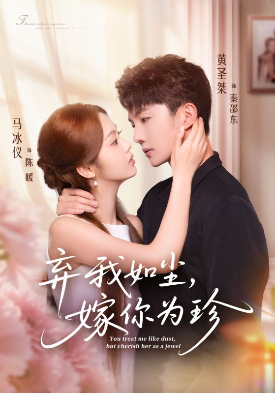 弃我如尘，嫁你为珍全集