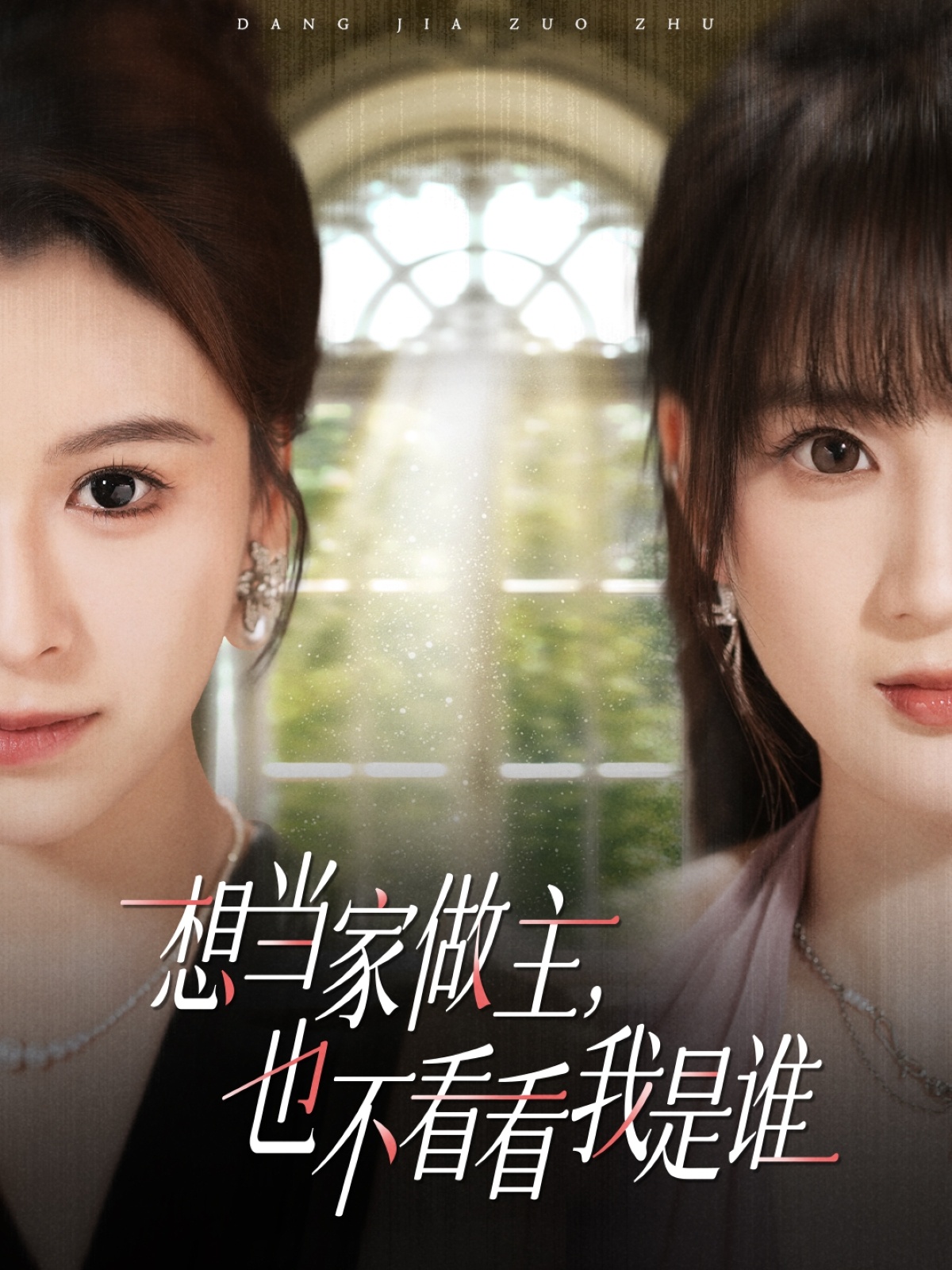 想当家做主，也不看看我是谁全集