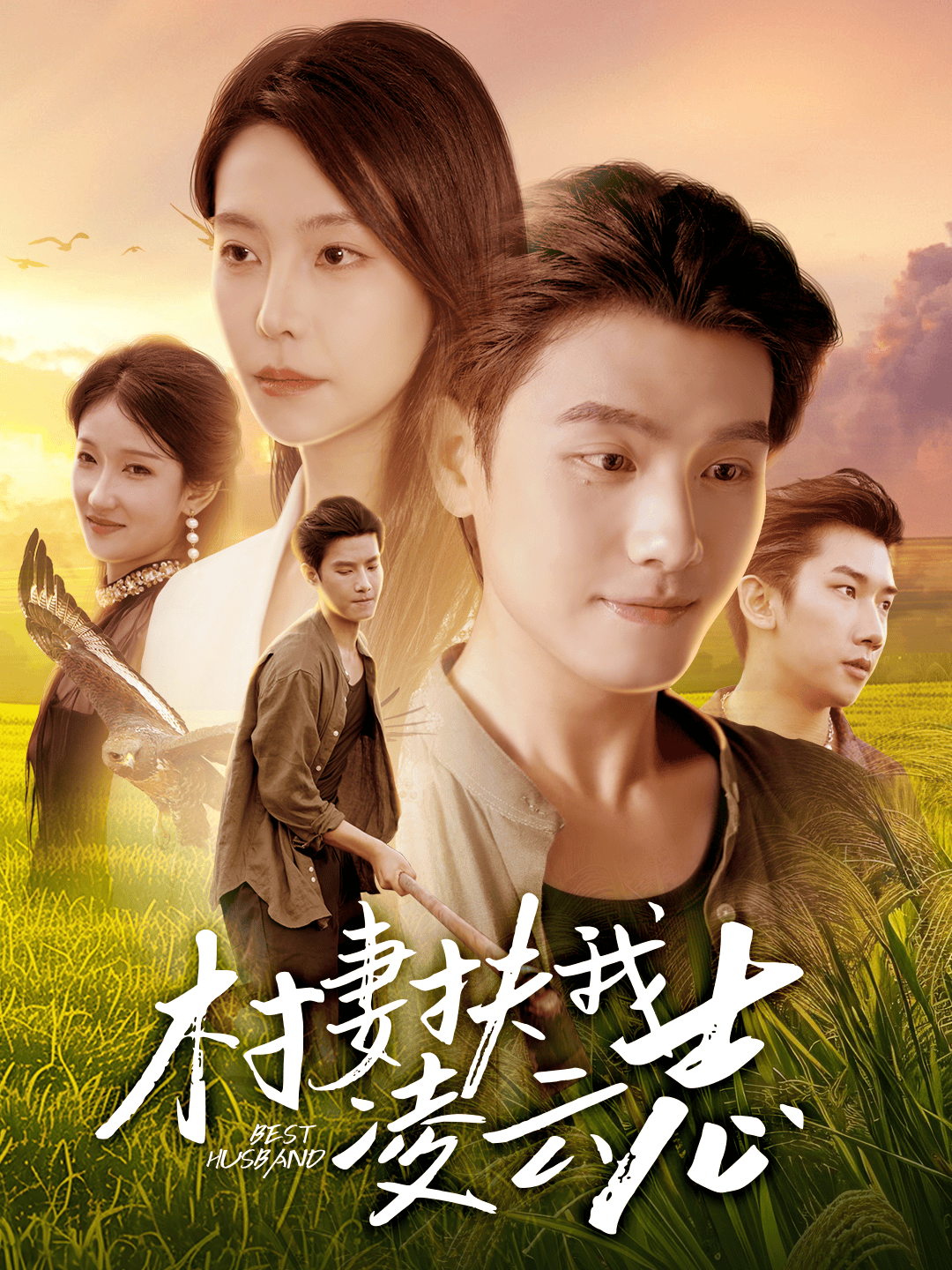 村妻扶我凌云志全集