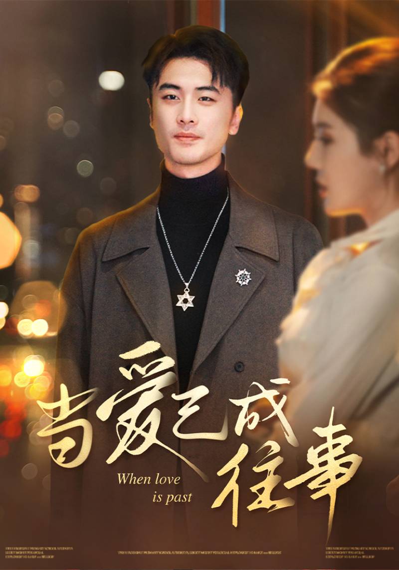 当爱已成往事全集