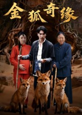 金狐奇缘全集