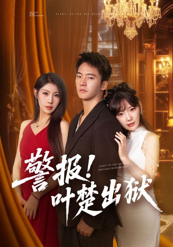 警报!叶楚出狱全集