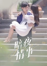 暗夜情事全集