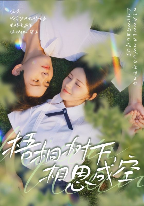 梧桐树下，相思成空全集