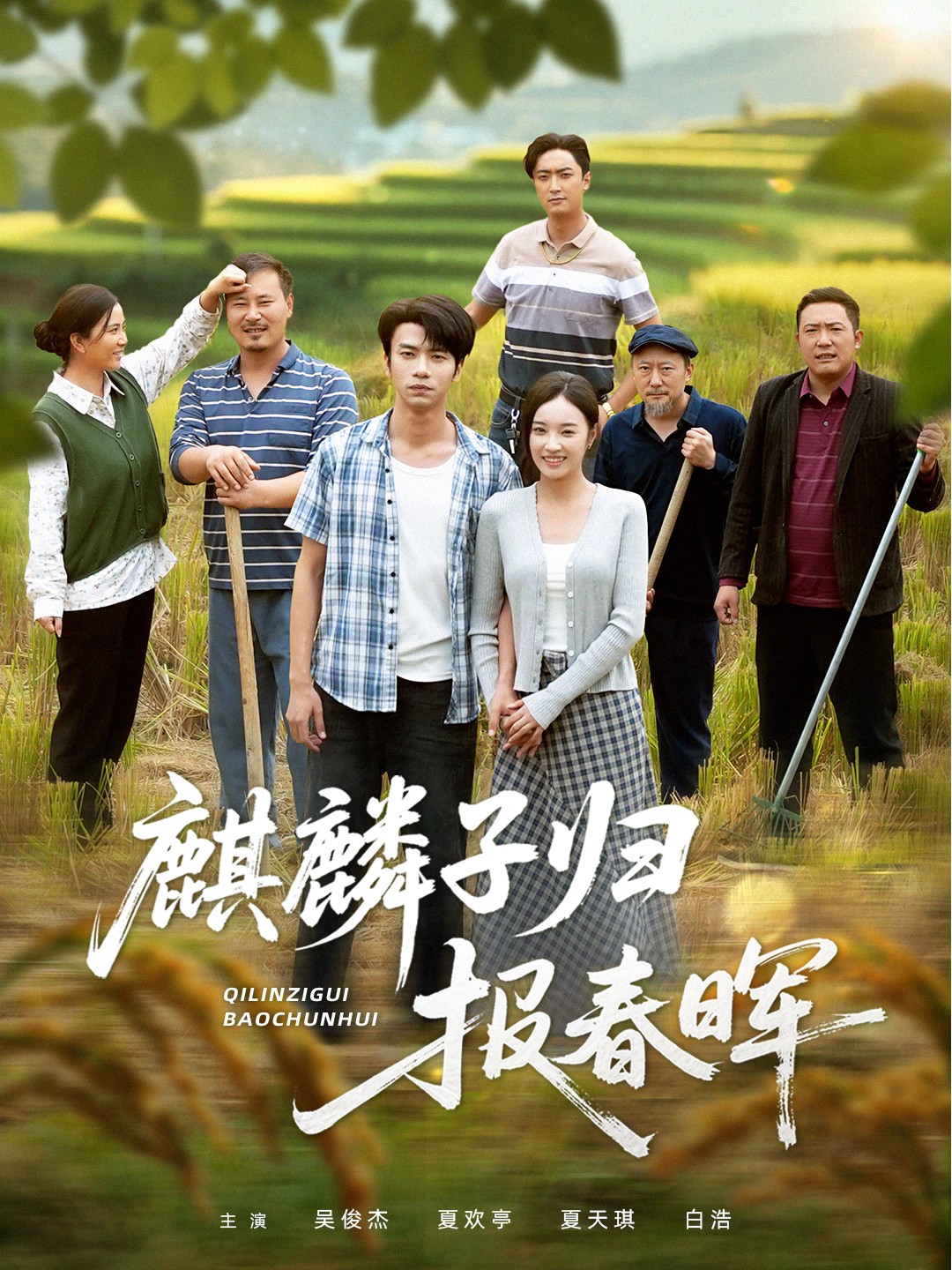 麒麟子归报春晖全集