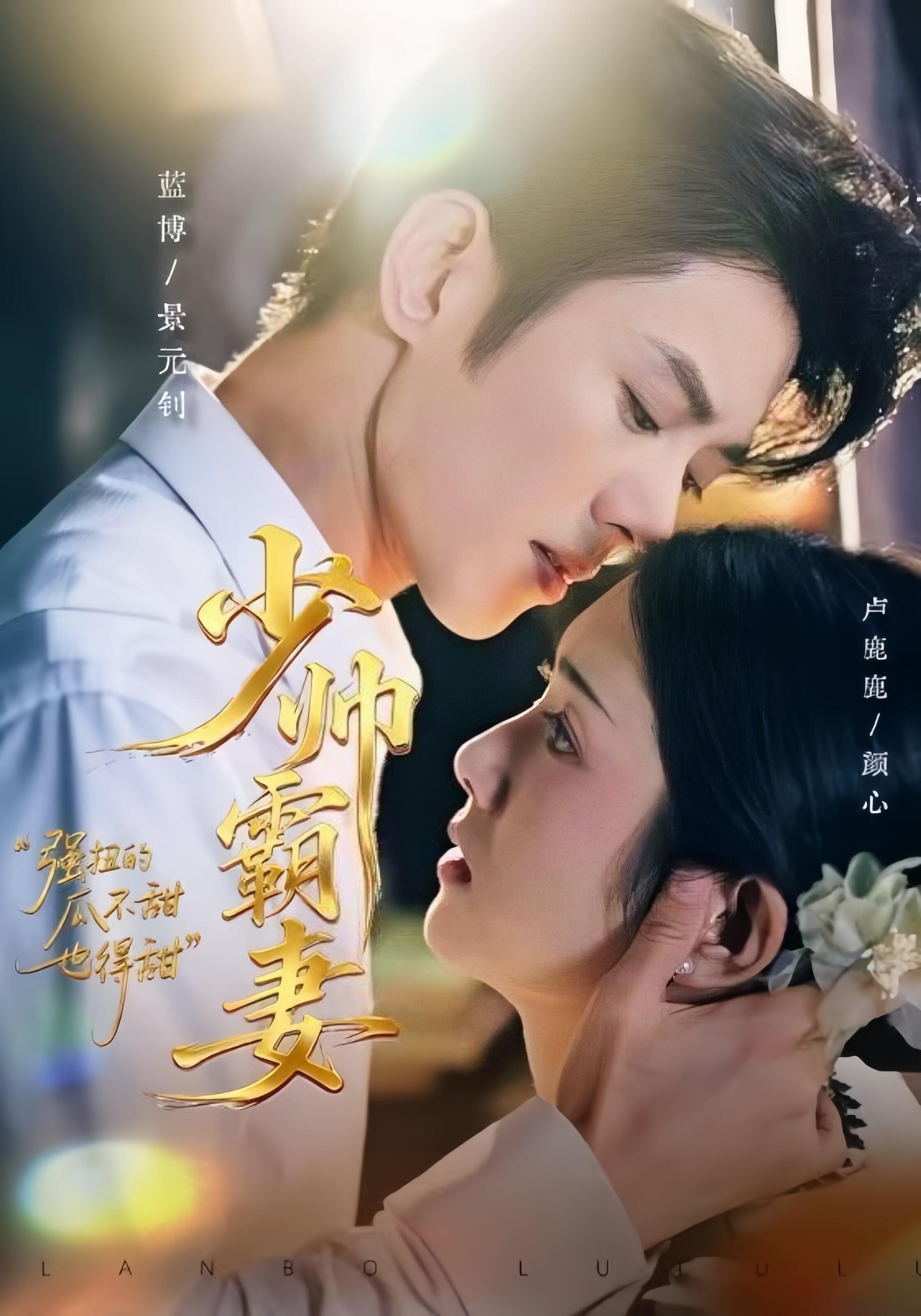 少帅霸妻，强扭的瓜不甜也得甜全集