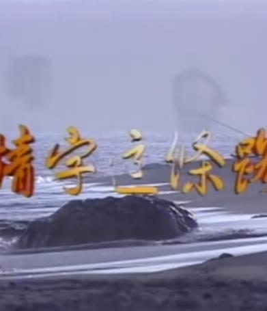 情字这条路全集