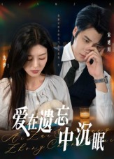 爱在遗忘中沉眠全集