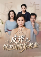 反诈之保卫闺蜜养老金全集