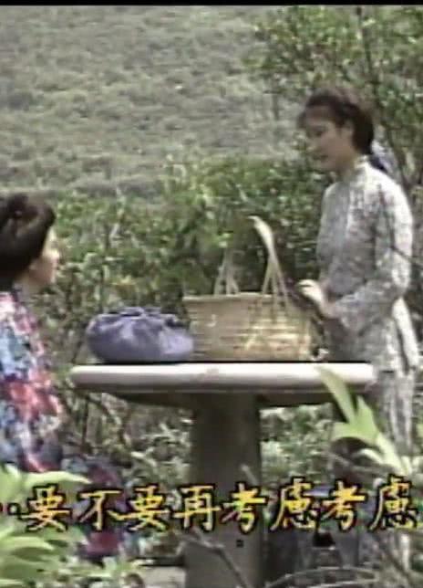 向太阳挑战全集