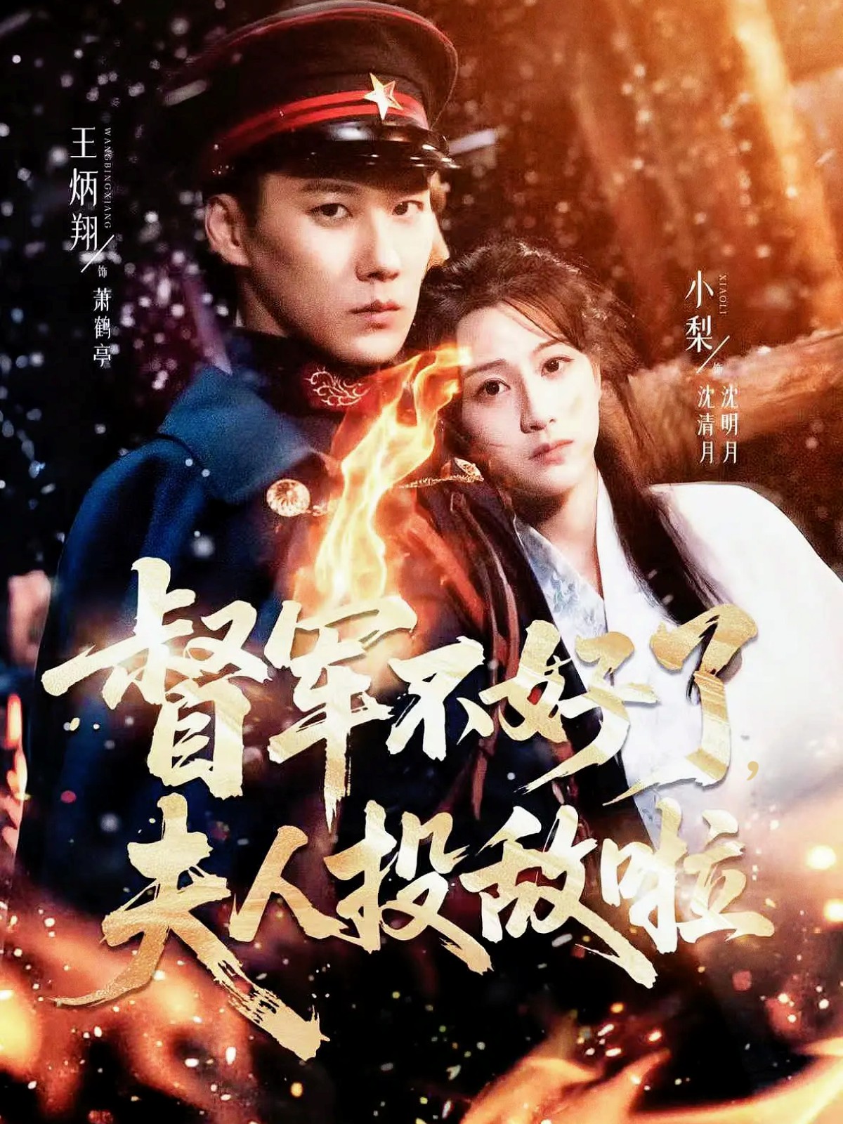 督军不好了，夫人投敌啦全集