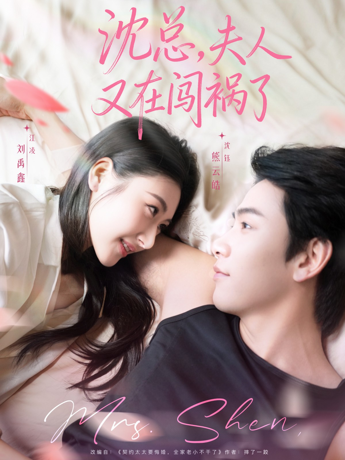 沈总，夫人又在闯祸了全集