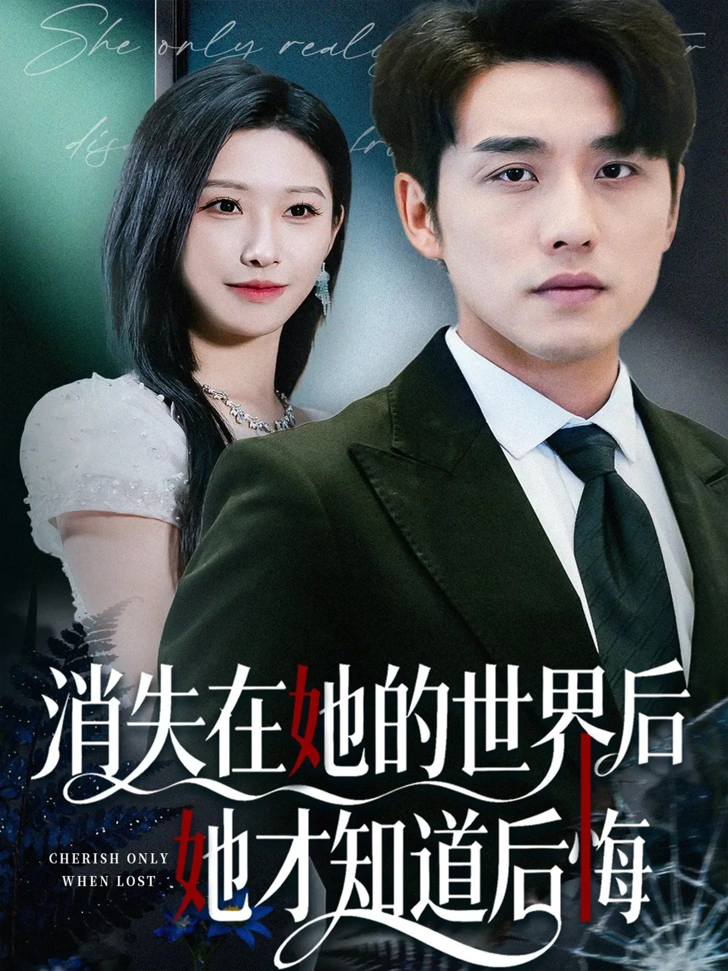 消失在她的世界后她才知道后悔全集