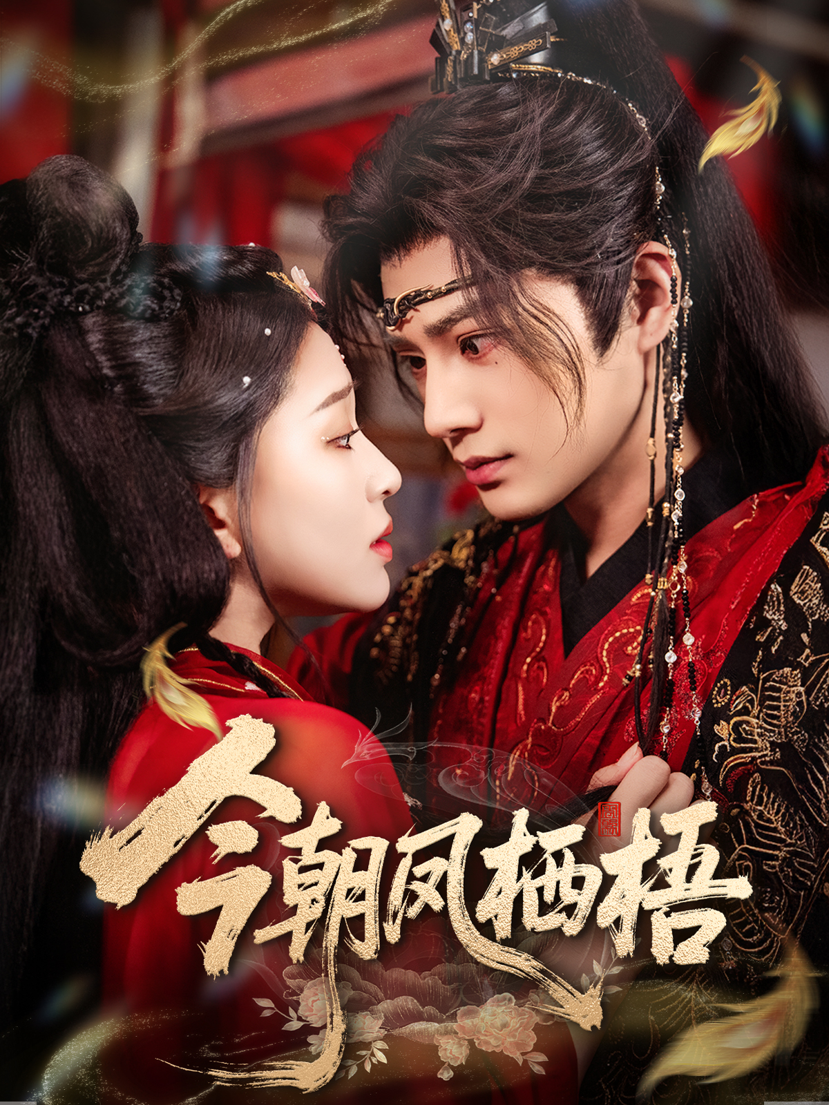 今朝凤栖梧全集