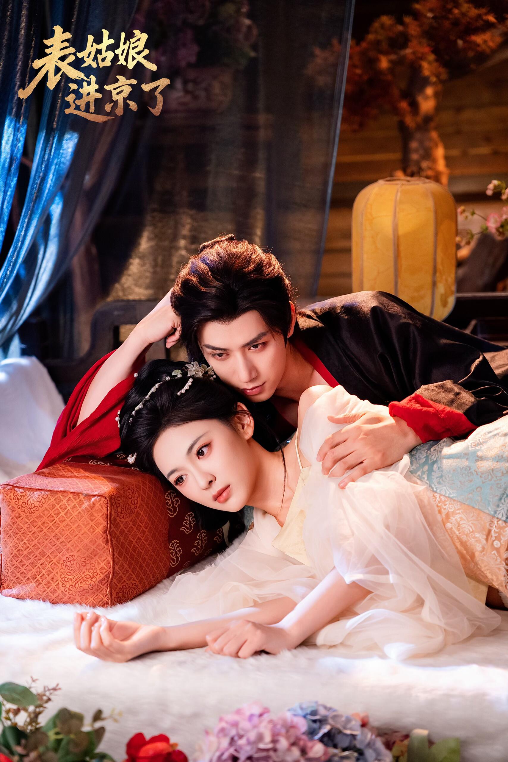表姑娘进京了全集