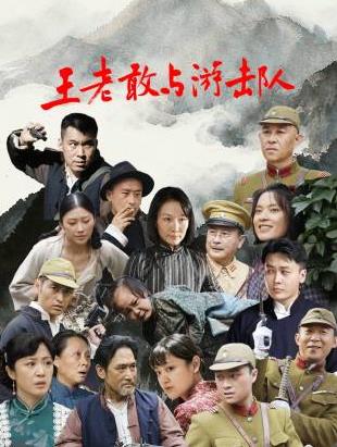 王老敢与游击队全集