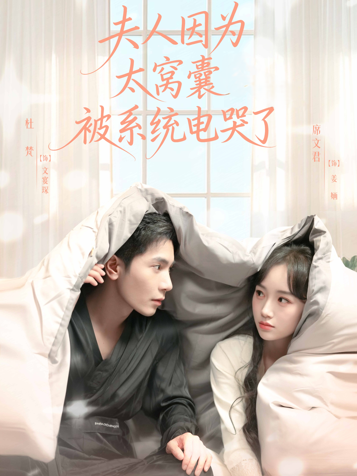 夫人因为太窝囊被系统电哭了全集
