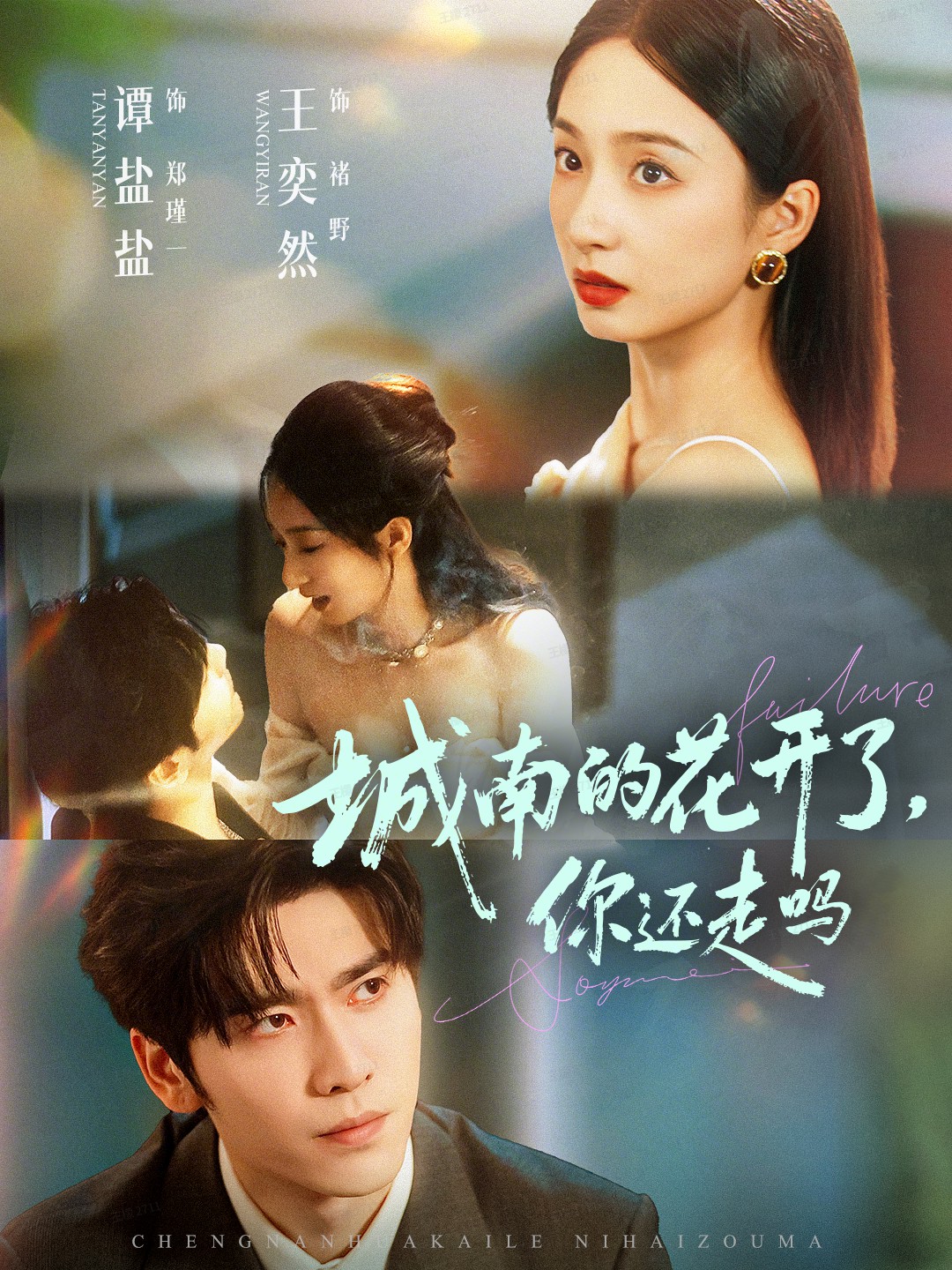 城南的花开了，你还走吗全集