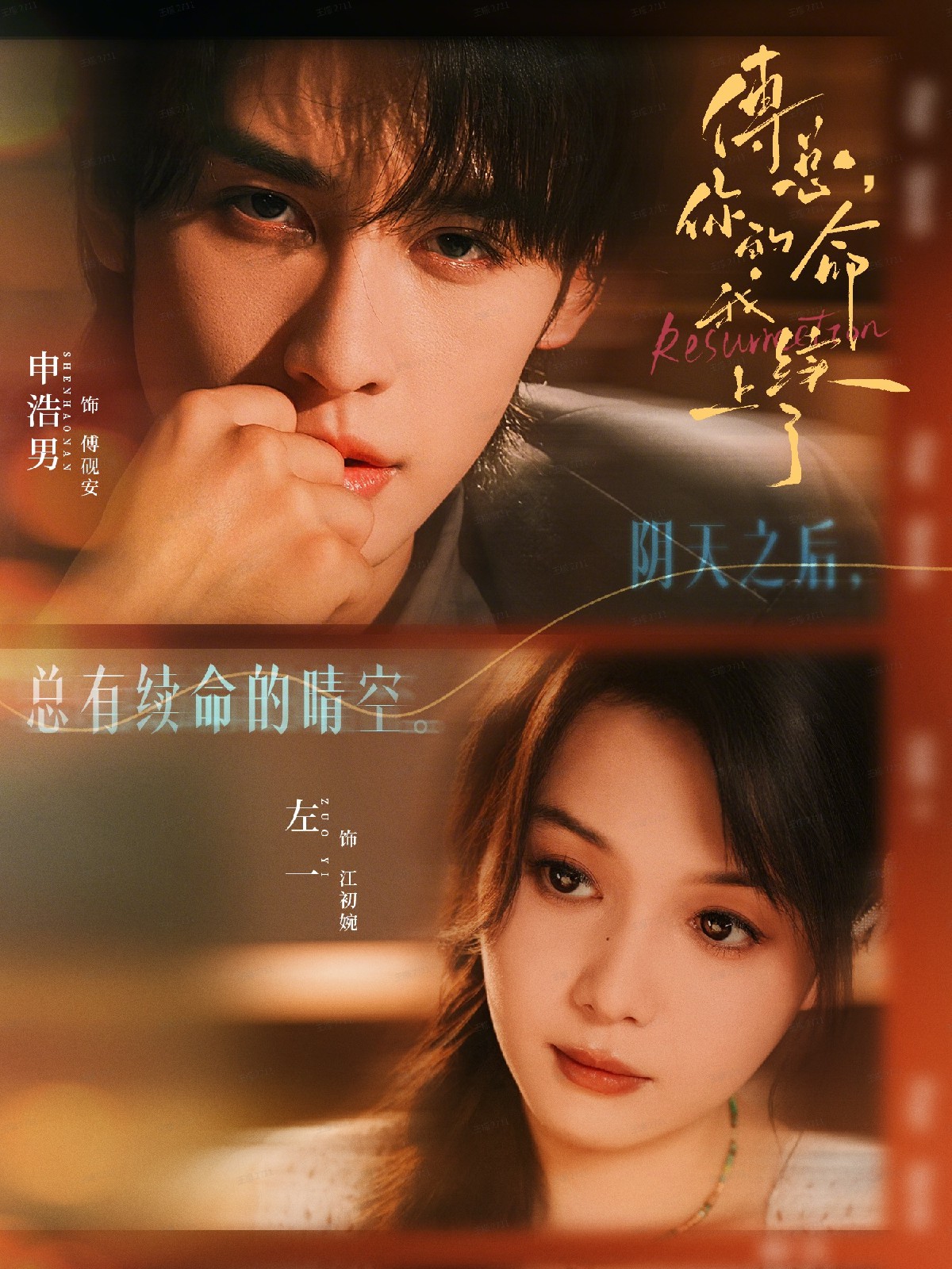 傅总，你的命我续上了全集