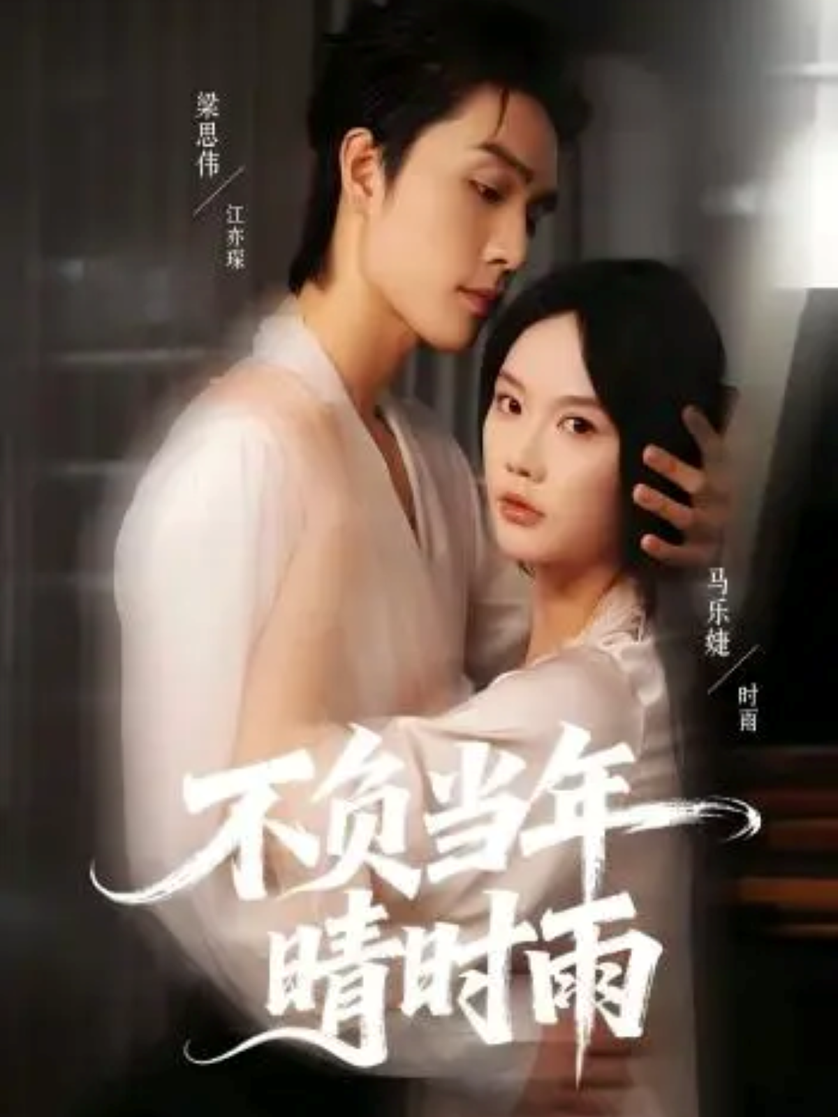 不负当年晴时雨全集