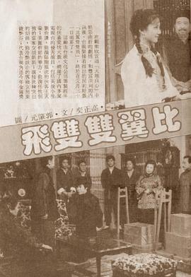 比翼双双飞全集