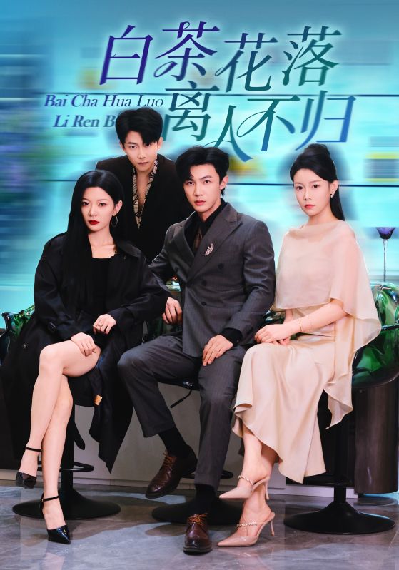 白茶花落离人全集