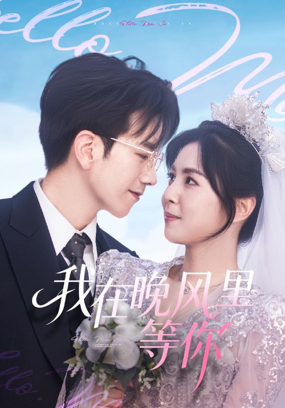 我在晚风里等你全集