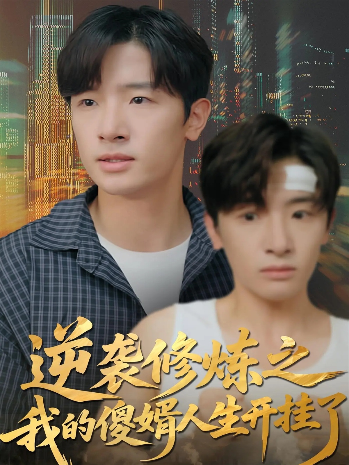 逆袭修炼之我的傻婿人生开挂了全集