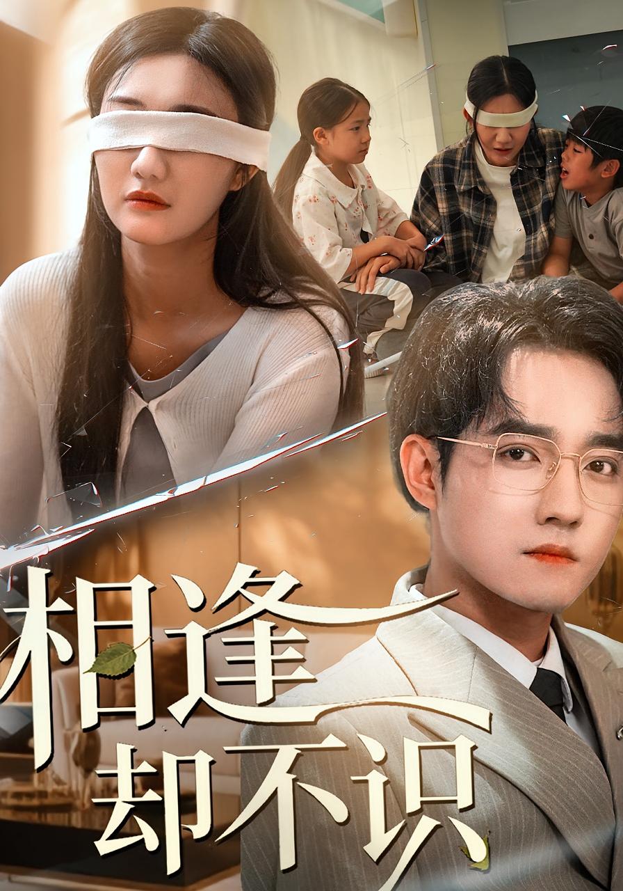 相逢却不识全集