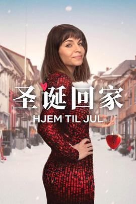 圣诞寻伴第3季全集