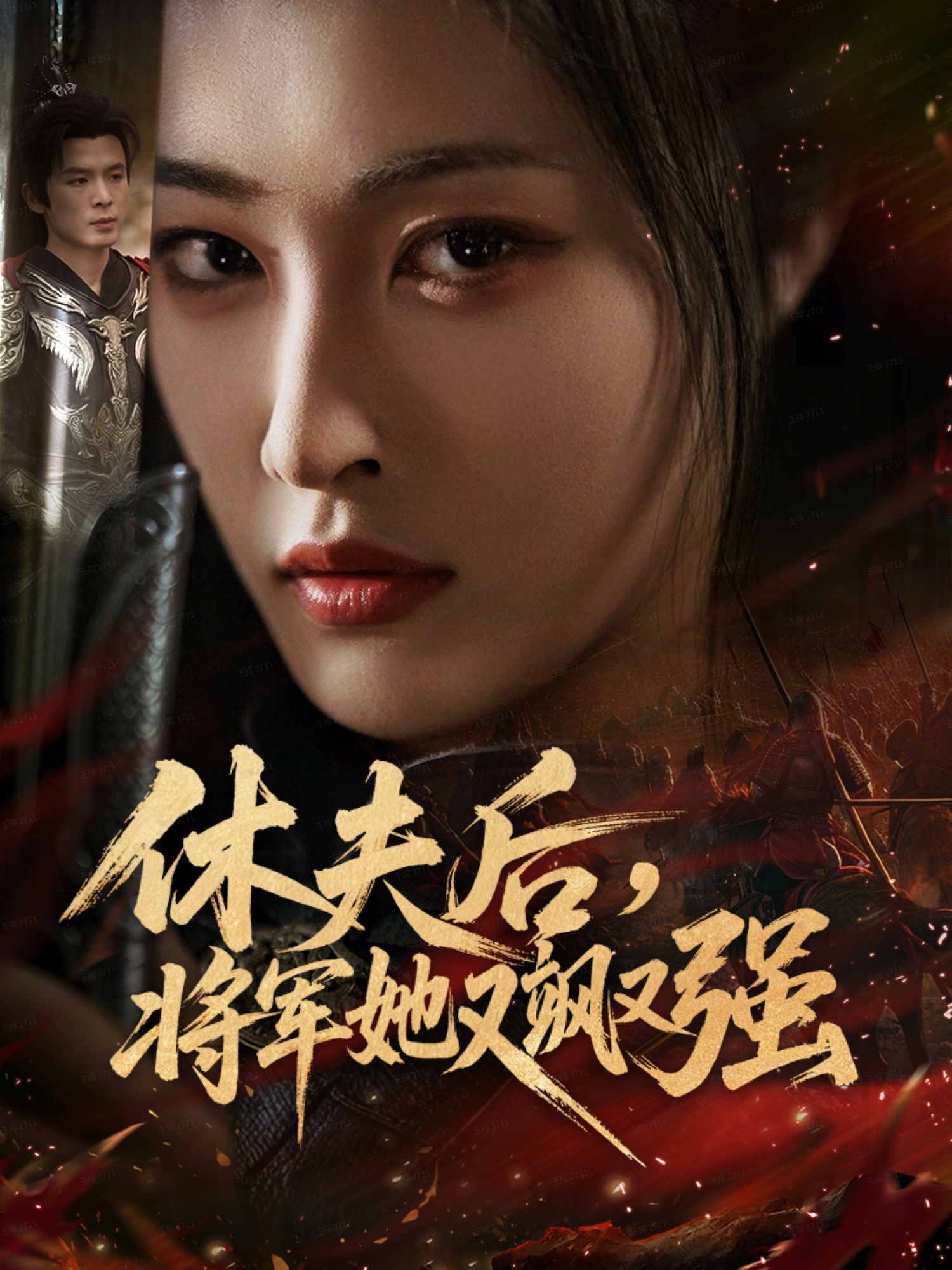 休夫后，将军她又飒又强全集