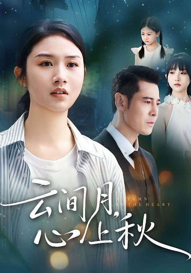 云间月心上秋全集