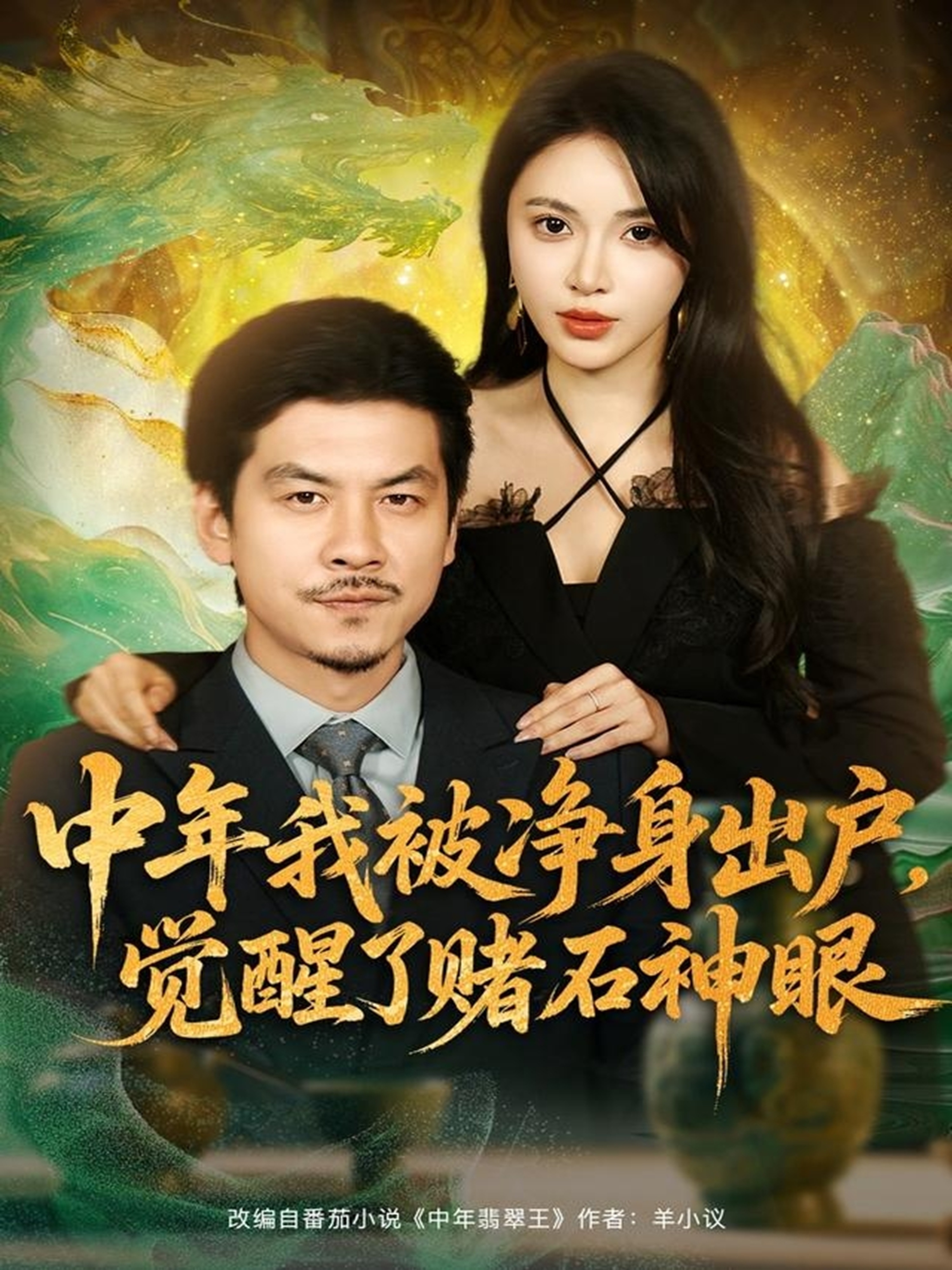 中年我被净身出户，觉醒了赌石神眼全集