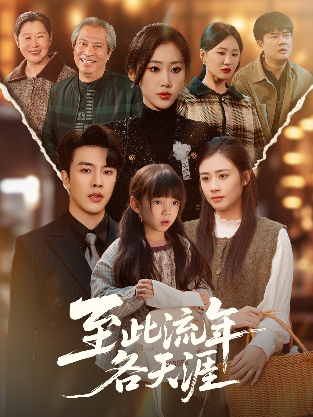 至此流年各天涯全集