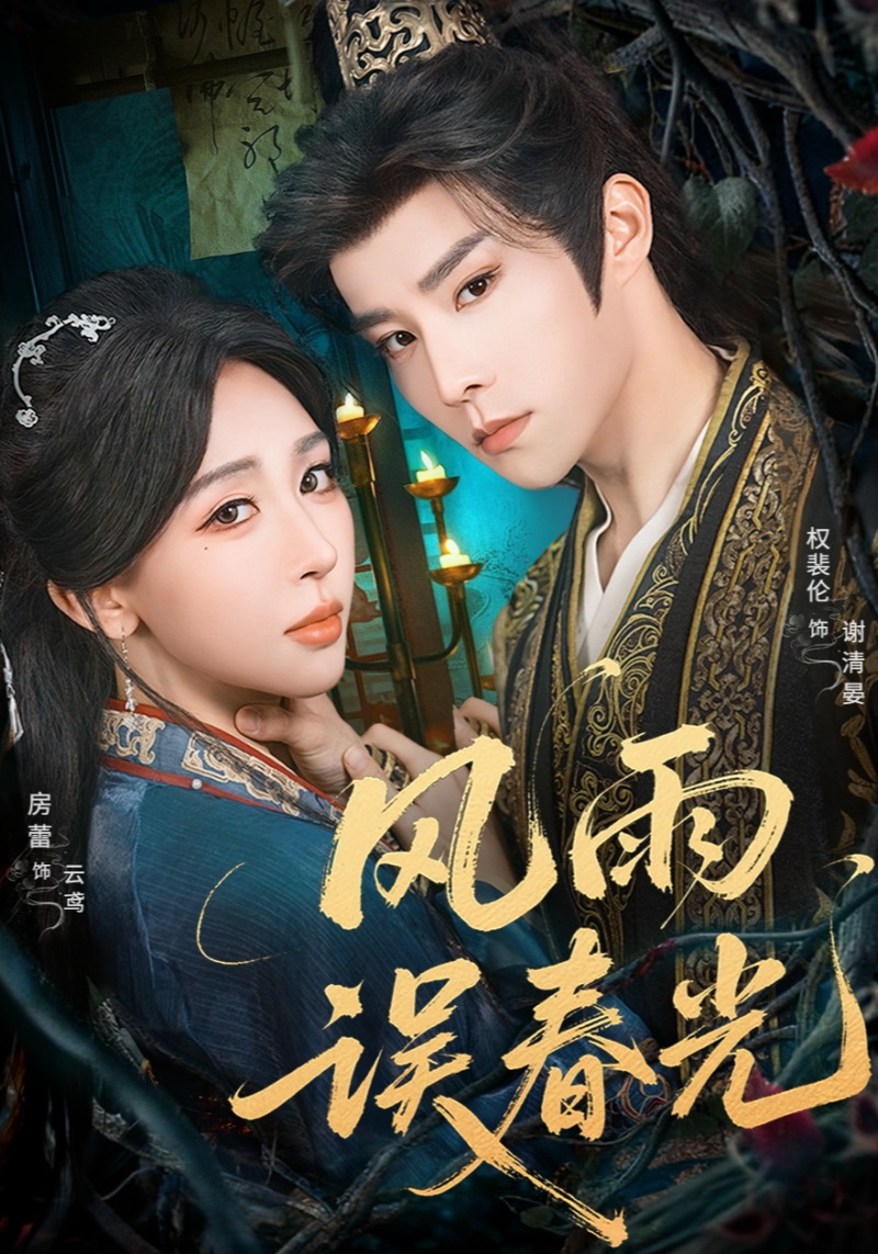 风雨误春光全集