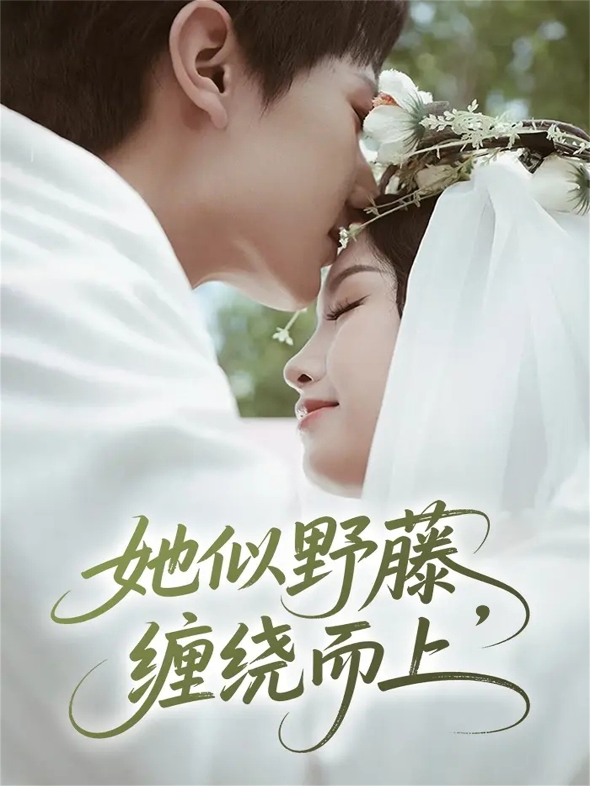 她似野藤，缠绕而上全集