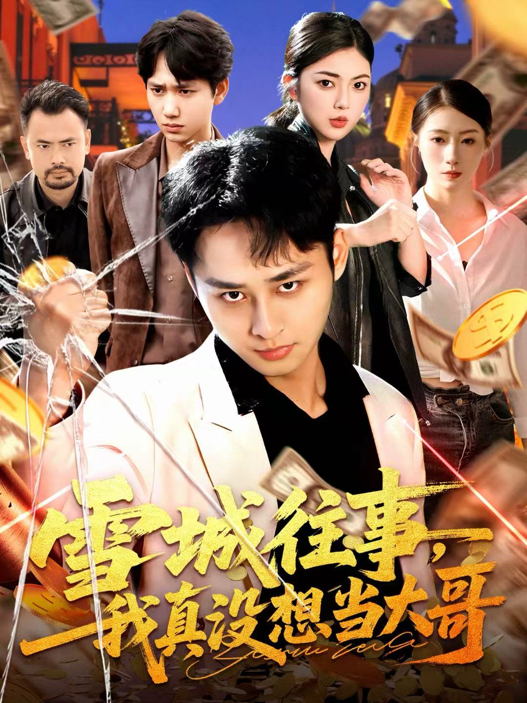 雪城往事，我真没想当大哥全集