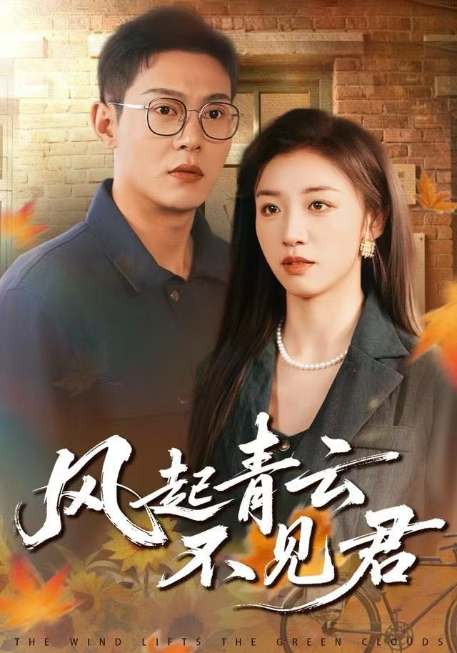 风起青云不见君全集