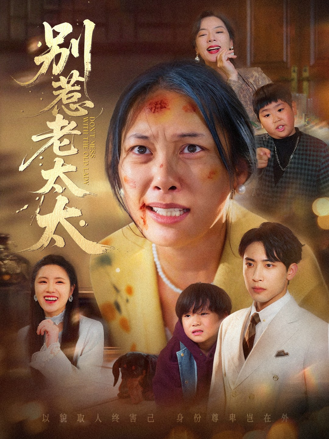 别惹老太太全集