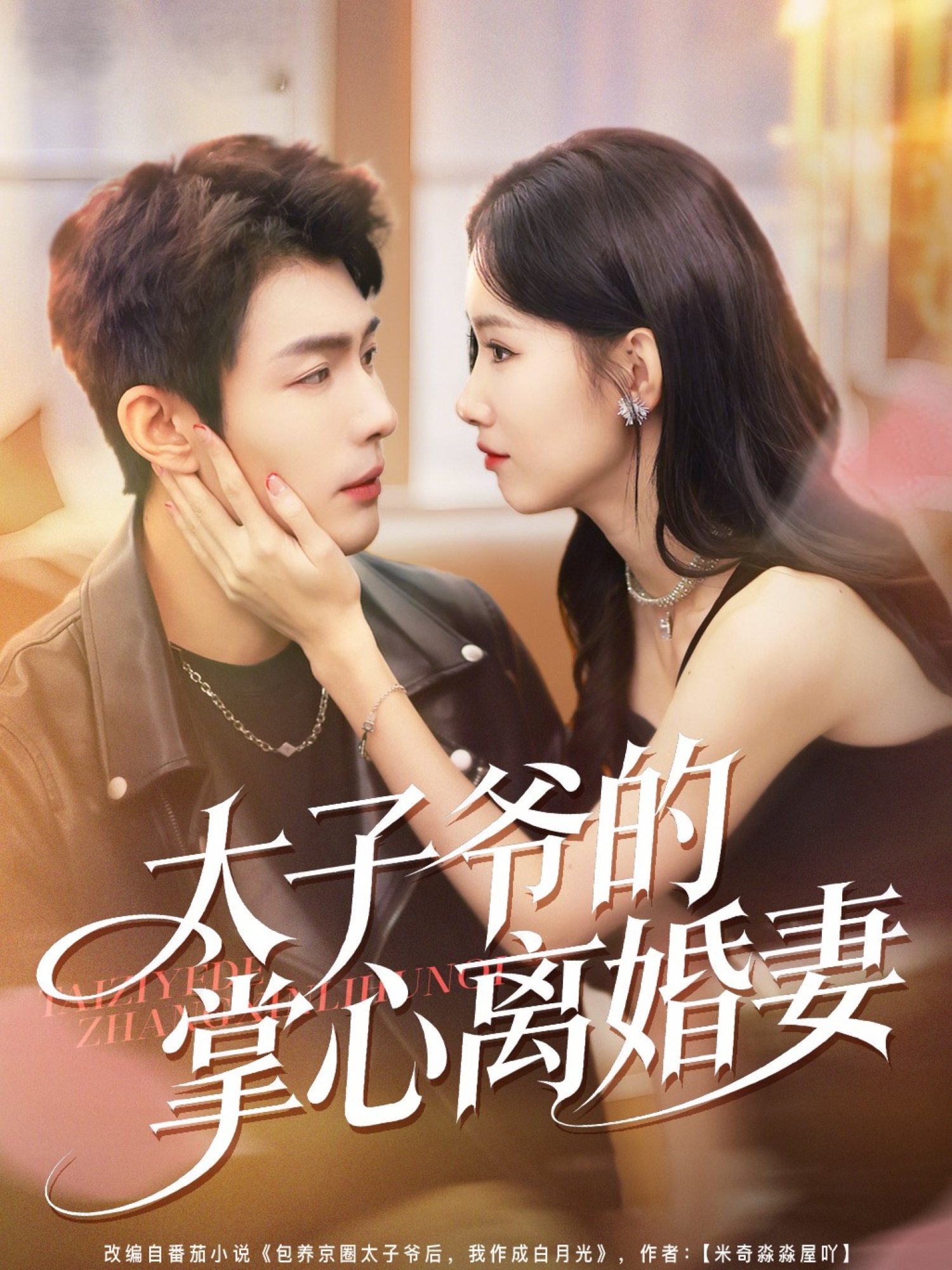 太子爷的掌心离婚妻全集