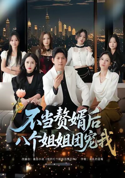 不当赘婿后八个姐姐团宠我全集
