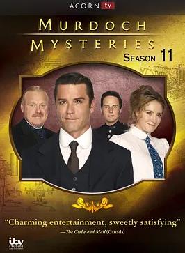 神探默多克第十一季全集