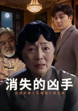 消失的凶手2026全集