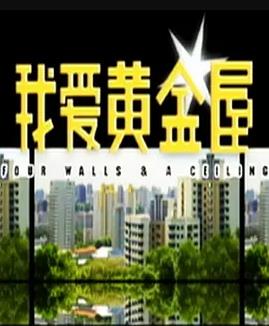 我爱黄金屋全集