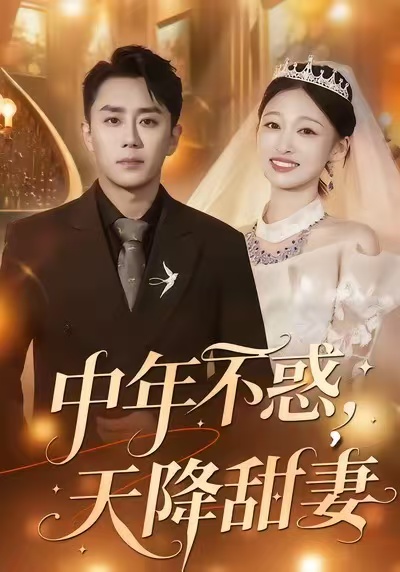 中年不惑，天降甜妻全集